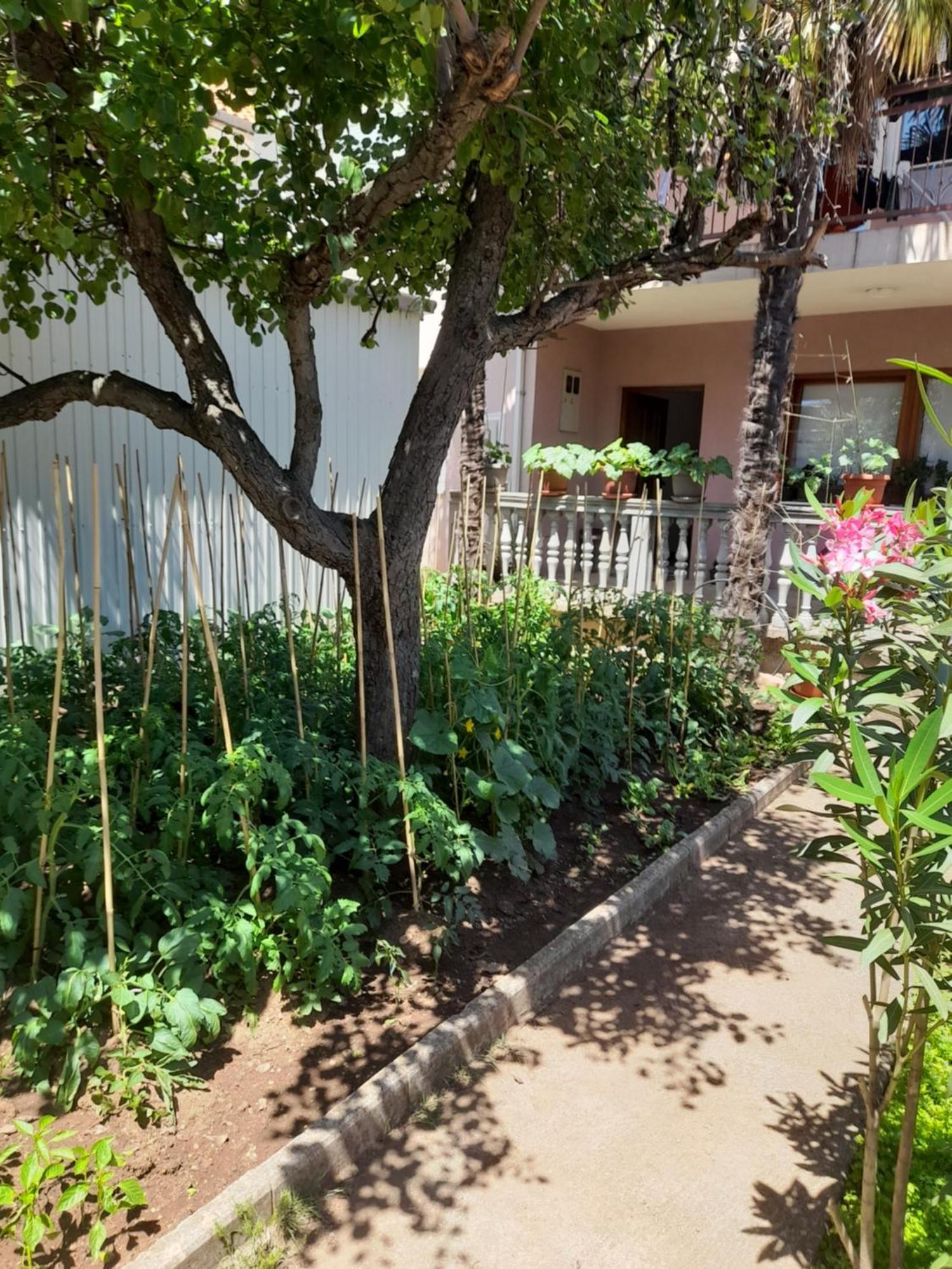Apartman Avdic Мостар Экстерьер фото